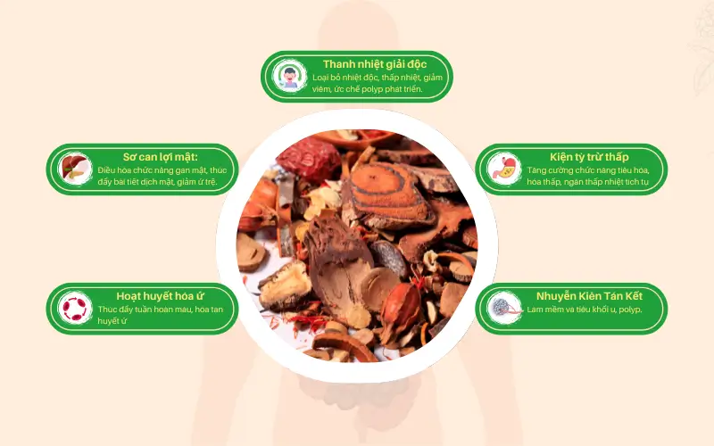 Y học cổ truyền tiếp cận điều trị polyp túi mật dựa trên nguyên tắc điều hòa chức năng tạng phủ, khí huyết và cân bằng âm dương trong cơ thể.