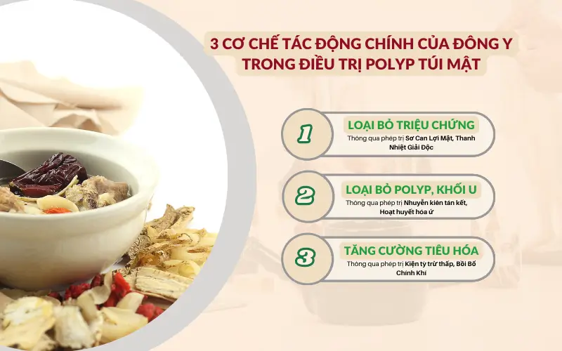  y học cổ truyền điều trị polyp túi mật bằng cách giải quyết căn nguyên gây bệnh, kết hợp nhiều phương pháp để tác động toàn diện, nâng cao hiệu quả điều trị, ngăn ngừa polyp tái phát.