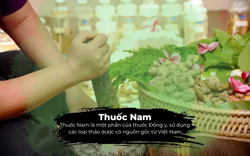 Thuốc nam