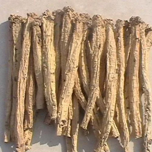 Hóa Ứ Tiêu Tích Lợi Đởm Thang: Bài thuốc Nam điều trị polyp túi mật hiệu quả | Đông y Sơn Hà dang sam