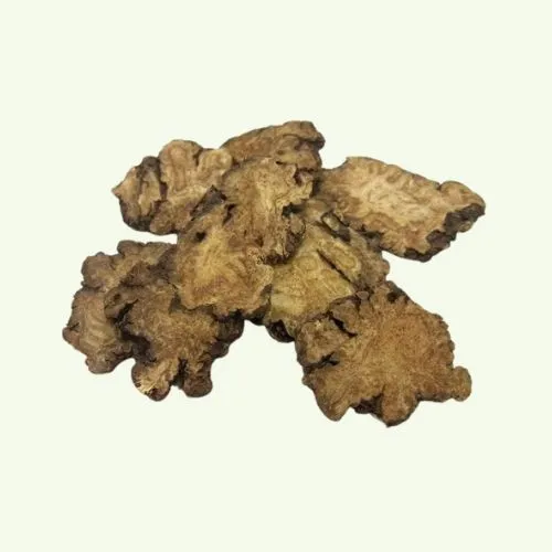 Hóa Ứ Tiêu Tích Lợi Đởm Thang: Bài thuốc Nam điều trị polyp túi mật hiệu quả | Đông y Sơn Hà moc huong