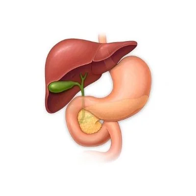Hóa Ứ Tiêu Tích Lợi Đởm Thang: Bài thuốc Nam điều trị polyp túi mật hiệu quả | Đông y Sơn Hà on dinh chuc nang gan mat