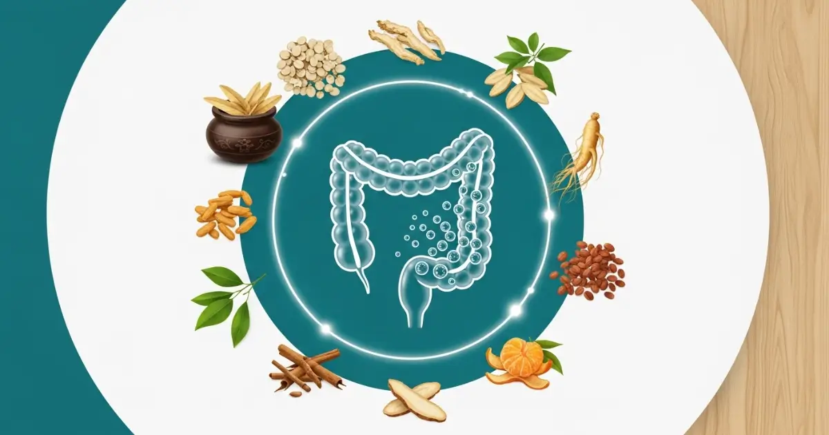 Pháp Trị Polyp Đại Tràng Trong Đông Y