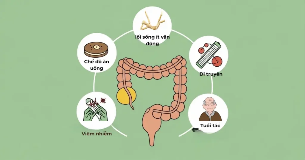 Yếu Tố Nguy Cơ Gây Polyp Đại Tràng