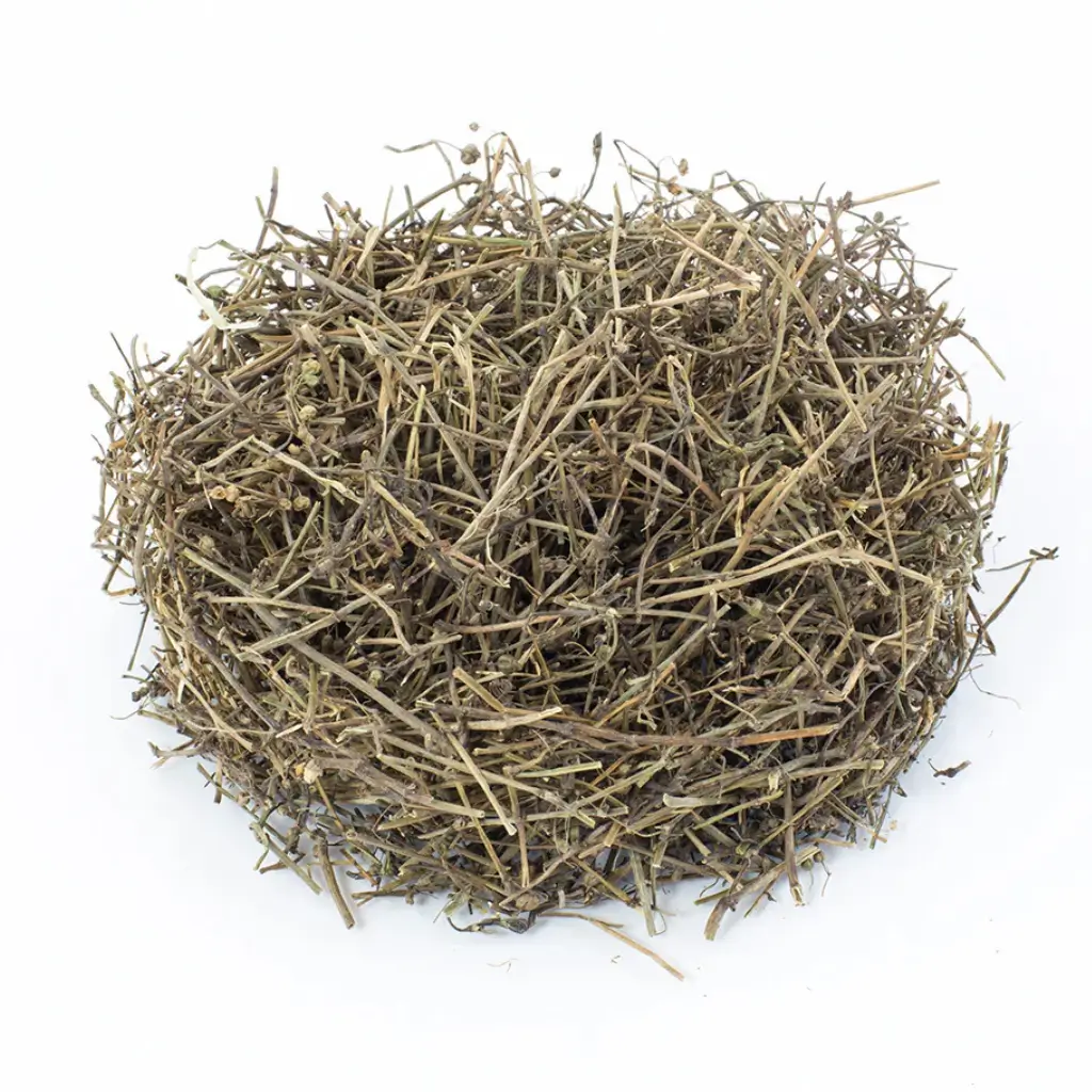 Bạch Hoa Xà Thiệt Thảo