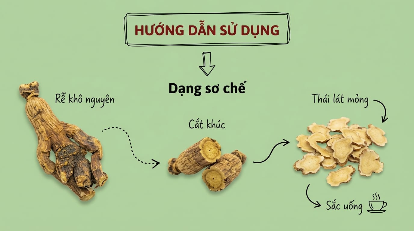 Hoàng Cầm (黄芩): Vị Thuốc Thanh Phế Nhiệt, Trừ Thấp & An Thai – Khắc Tinh Của Các Chứng Viêm 4: Hướng Dẫn Sử Dụng Hoàng Cầm: Bài Thuốc & Lưu Ý