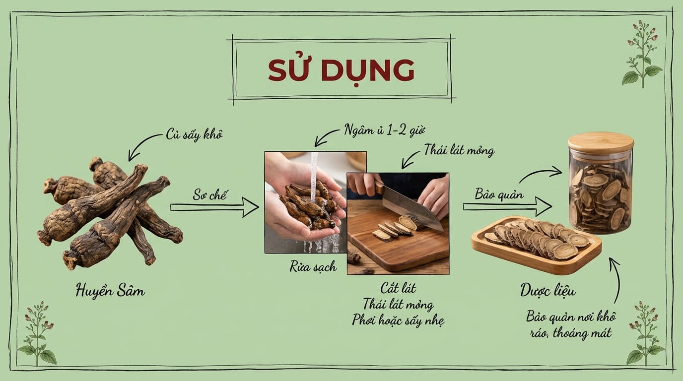 4. Hướng Dẫn Sử Dụng Huyền Sâm An Toàn và Hiệu Quả